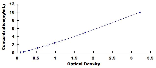 SEE490Hu.jpg