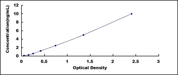 SEE527Hu.jpg