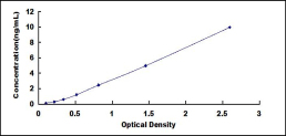 SEE537Hu.jpg