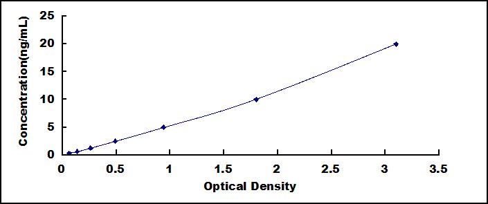 SEE570Hu.jpg