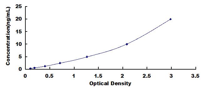 SEE582Hu.jpg