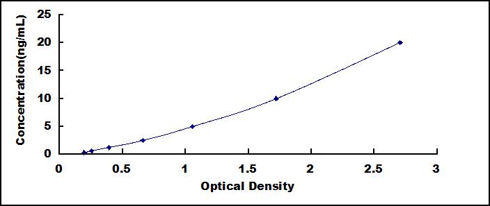 SEE586Hu.jpg