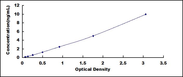 SEE678Hu.jpg