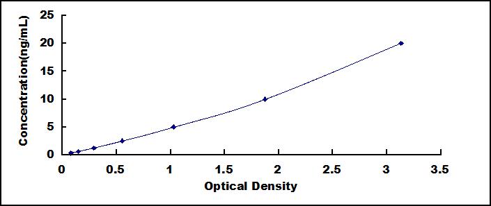 SEE785Hu.jpg