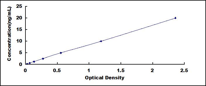 SEE802Hu.jpg