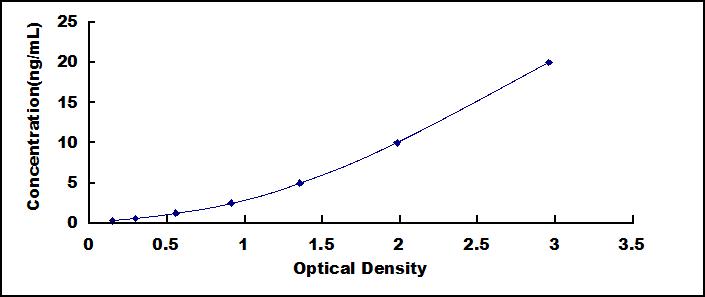 SEE807Ra.jpg