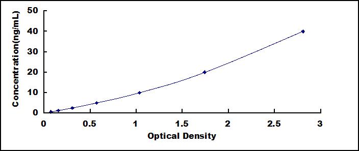 SEE825Hu.jpg