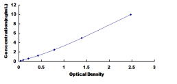 ELISA Kit for Deoxyribonuclease X (DNASEX)