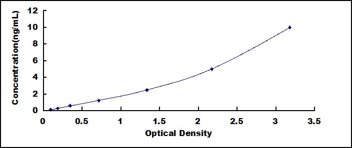 SEE915Hu.jpg