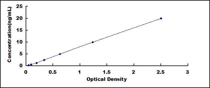 SEE972Hu.jpg