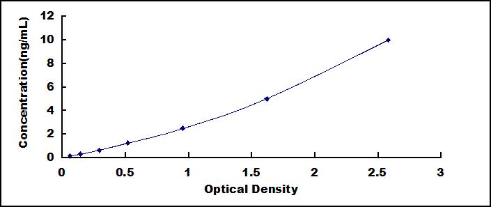 SEE982Hu.jpg