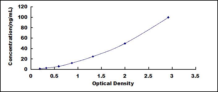 ELISA Kit for Peptidyl Arginine Deiminase Type II (PADI2)