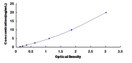 ELISA Kit for Ribonucleotide Reductase M1 (RRM1)