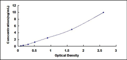 SEG043Hu.jpg