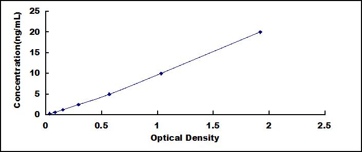 ELISA Kit for Endoplasmic Reticulum Aminopeptidase 2 (ERAP2)