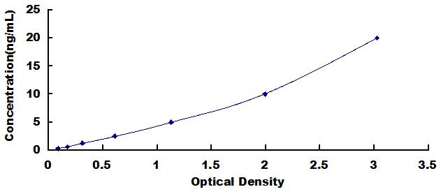 SEM012Hu.jpg