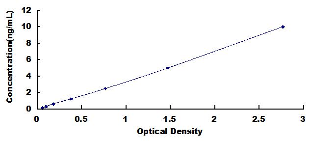 SEM062Hu.jpg