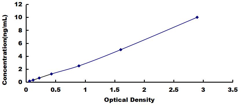 SEM240Mu.jpg