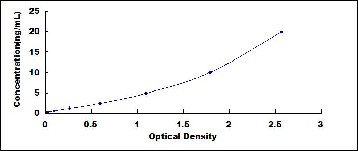 SEM490Hu.jpg