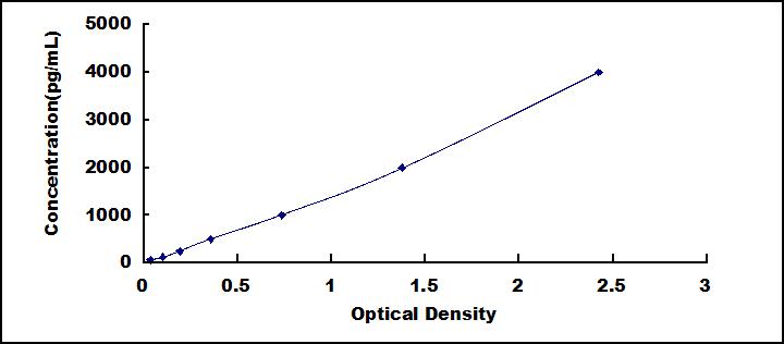 SEM546Hu.jpg