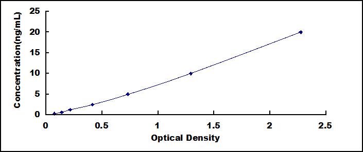 SEM767Hu.jpg