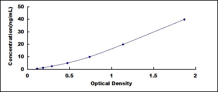 SEQ090Hu.jpg