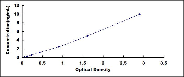 SEQ372Hu.jpg