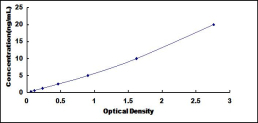 SEQ477Hu.jpg