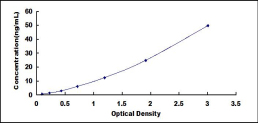 SEQ741Hu.jpg