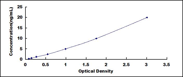 SEQ971Hu.jpg