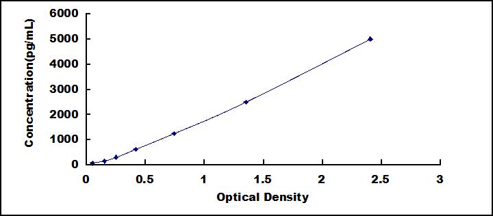 SEQ977Hu.jpg