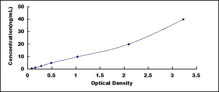 Wide-range ELISA Kit for Ferritin (FE)