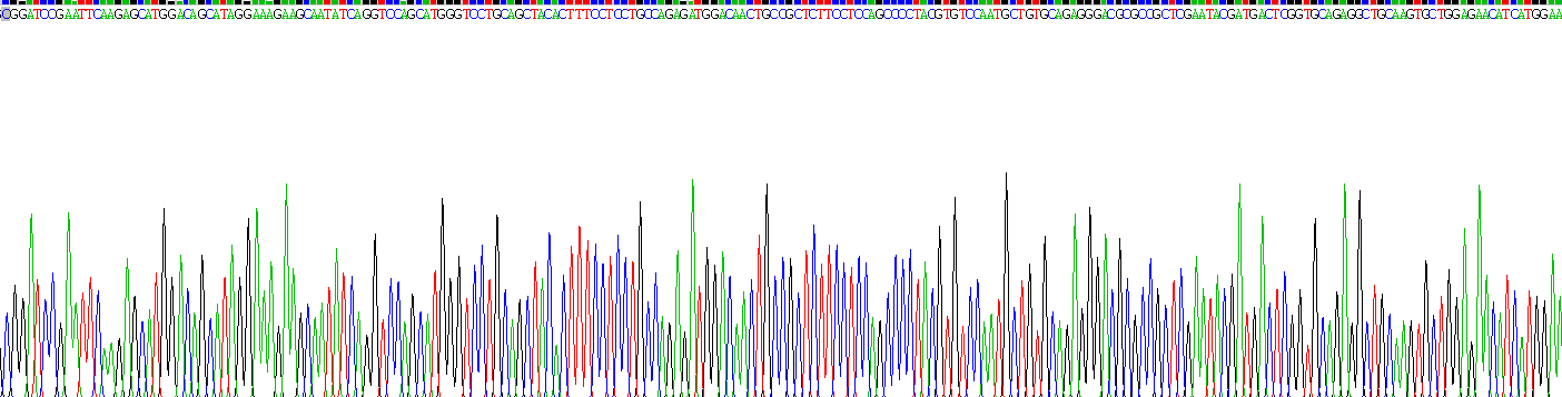 Active Angiopoietin 2 (ANGPT2)