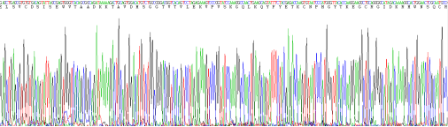 Active Brain Derived Neurotrophic Factor (BDNF)