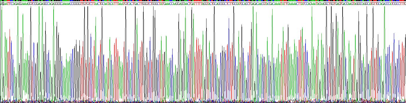 Active Glial Cell Line Derived Neurotrophic Factor (GDNF)