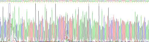 Active Interferon Gamma (IFNg)