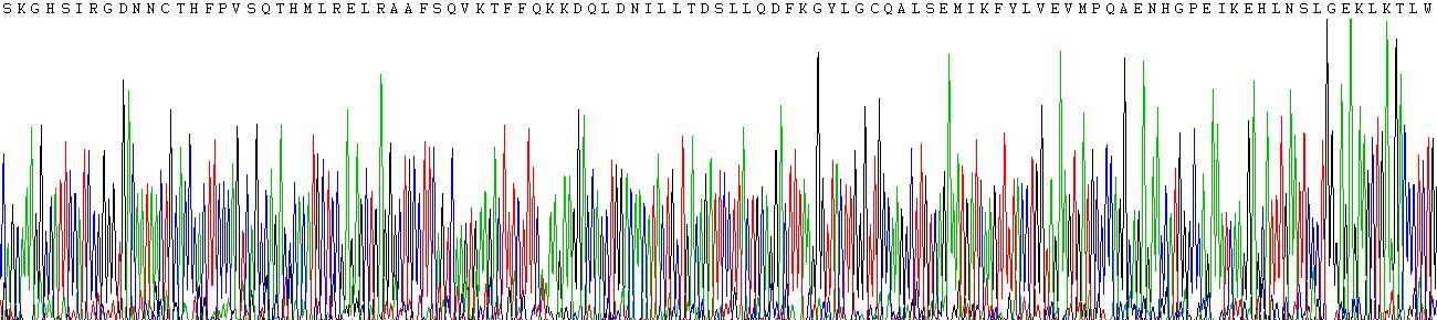 Active Interleukin 10 (IL10)