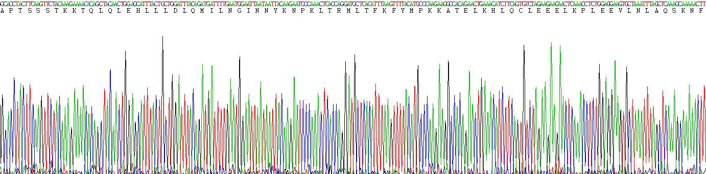 Active Interleukin 2 (IL2)