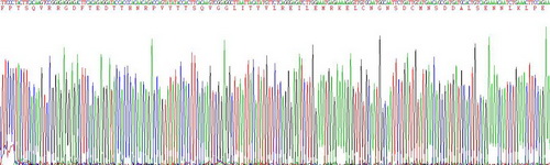 Active Interleukin 6 (IL6)