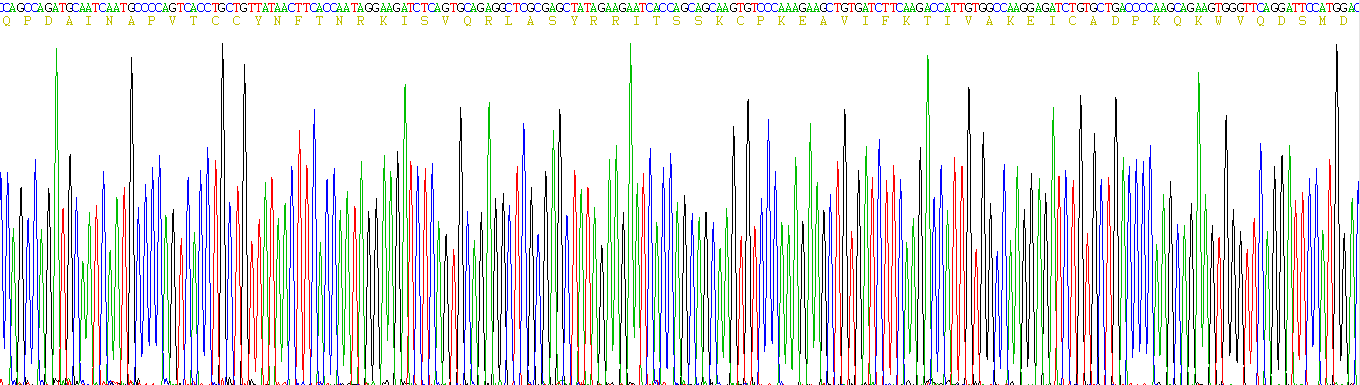 Active Monocyte Chemotactic Protein 1 (MCP1)