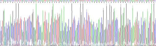 Active Macrophage Inflammatory Protein 1 Alpha (MIP1a)