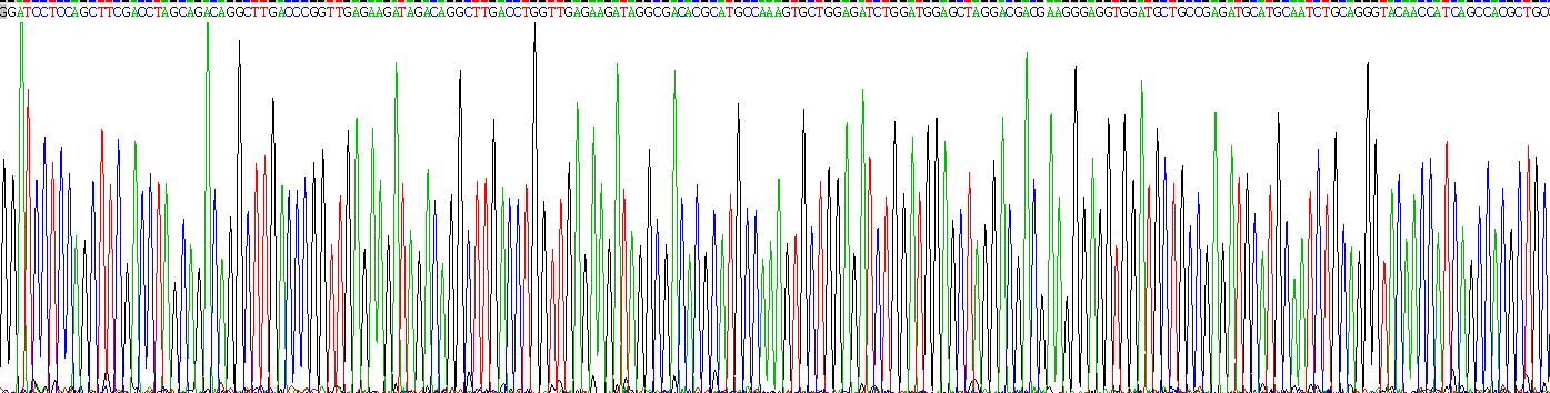 Active Superoxide Dismutase 3, Extracellular (SOD3)