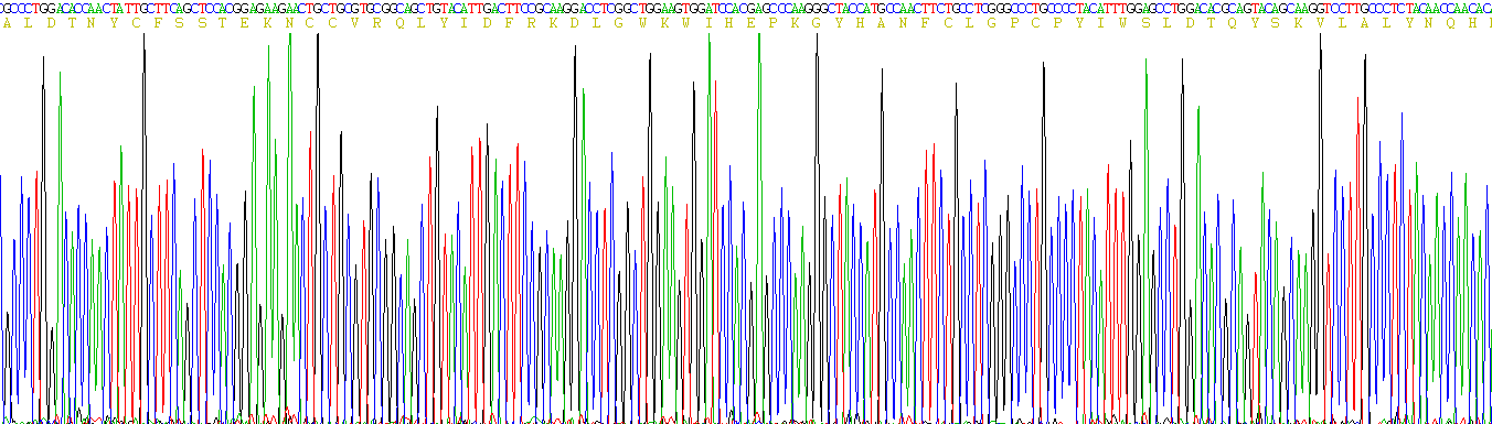 Active Transforming Growth Factor Beta 1 (TGFb1)