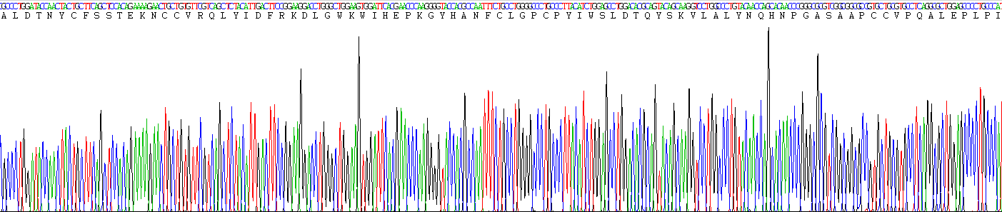 Active Transforming Growth Factor Beta 1 (TGFb1)