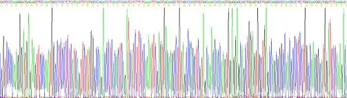 Active Tumor Necrosis Factor Alpha (TNFa)