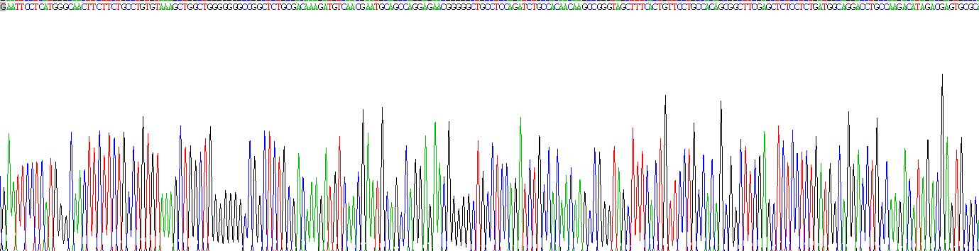 Active Growth Arrest Specific Protein 6 (GAS6)