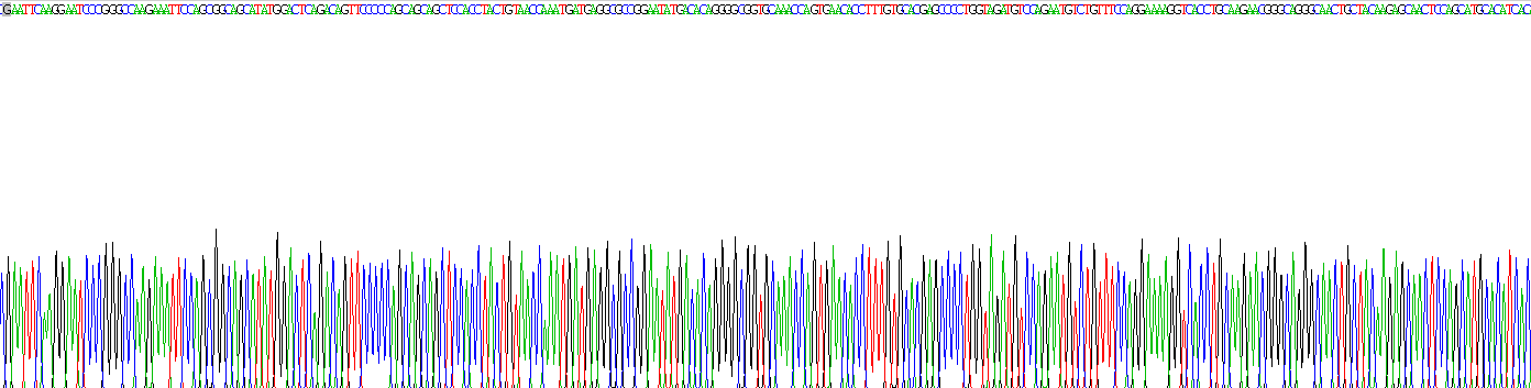 Active Ribonuclease A (RNase A)