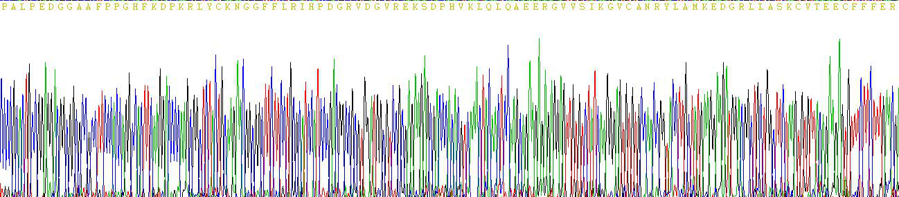 Active Fibroblast Growth Factor 2, Basic (FGF2)