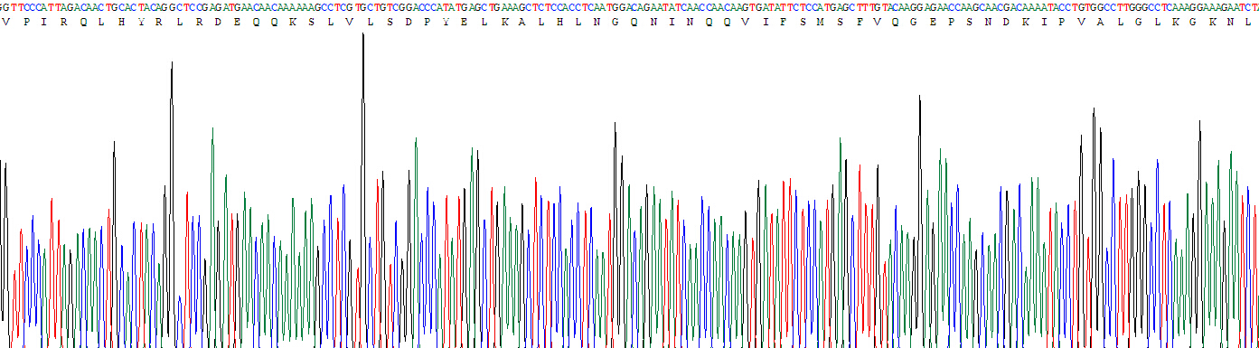 Active Interleukin 1 Beta (IL1b)