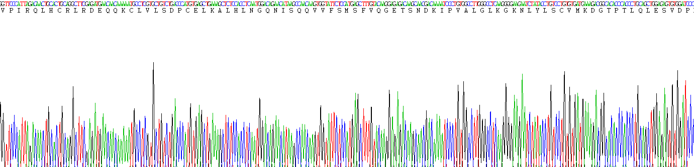 Active Interleukin 1 Beta (IL1b)